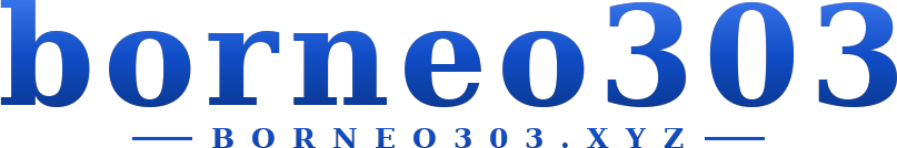 borneo303 logo